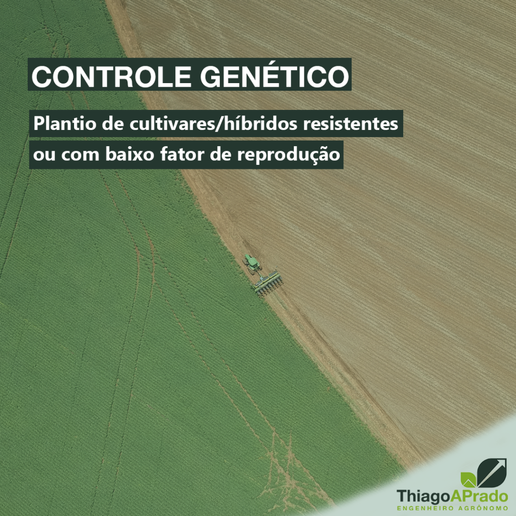 Controle Genetico