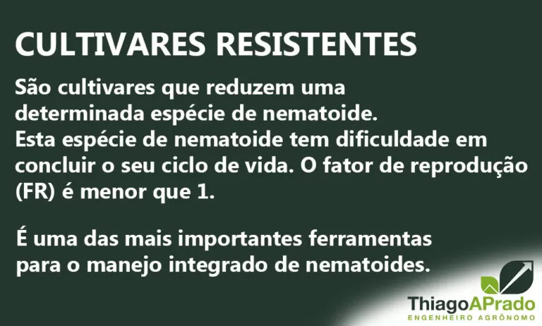 Cultivar Resistente Blog